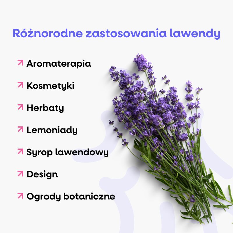 (Polština) - 2025-02-25T090952.409